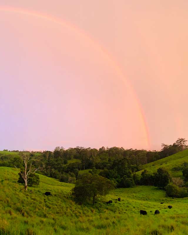 Farm-Stay-at-Mt-Mee QLD_Yajambee-Farms